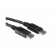 Roline DisplayPort kabel, DP M/M, 10m