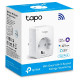 TP-Link Tapo P110 Mini Smart Wi-Fi Alexa & Google