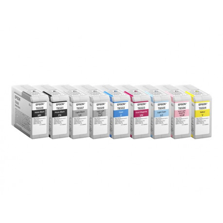 EPSON Singlepack Photo Black T850100