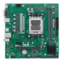 ASUS PRO A620M-DASH-CSM 