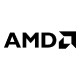 AMD Athl 3000G 3.5GHz AM4 2C/4T 35W BOX