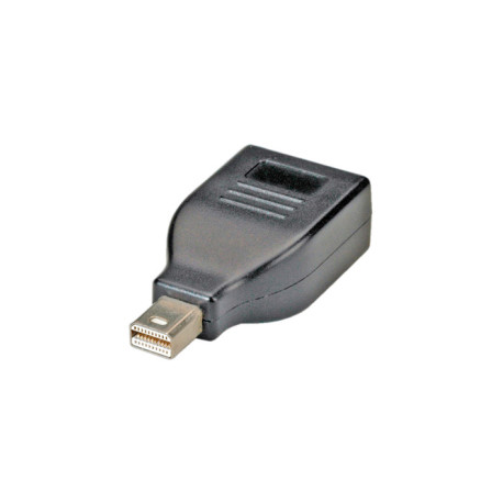 Roline adapter mini DisplayPort(M) na DisplayPort(F)