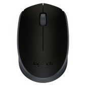 LOGITECH Wireless Mouse M171 - EMEA - BLACK